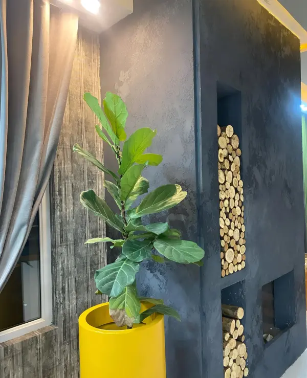 میکروسمنت بافت ایسلا