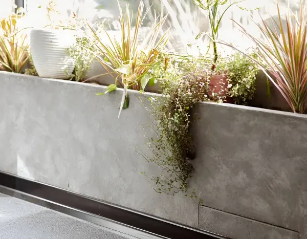 تصویر بافت میکروسمنت اسپینا