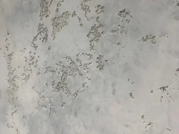 تصویر بافت میکروسمنت اسپینا