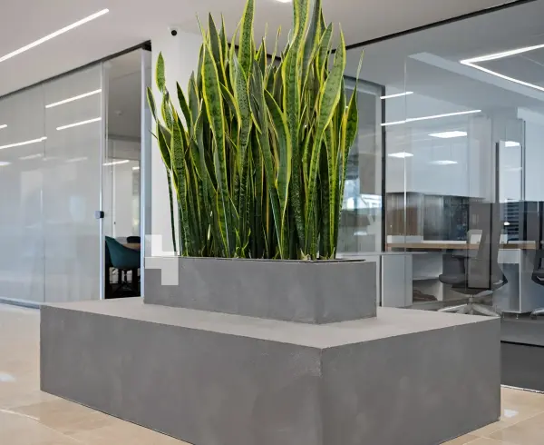 رنگ‌های محبوب اسپینا