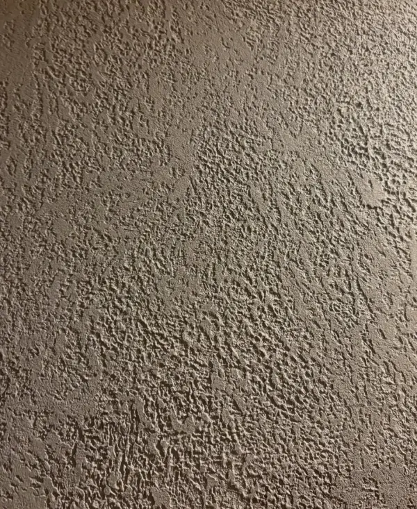 تصویر بافت میکروسمنت اسپینا